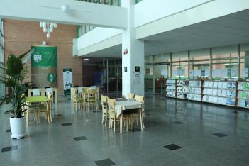 ��ƮȦ ÷���̹���