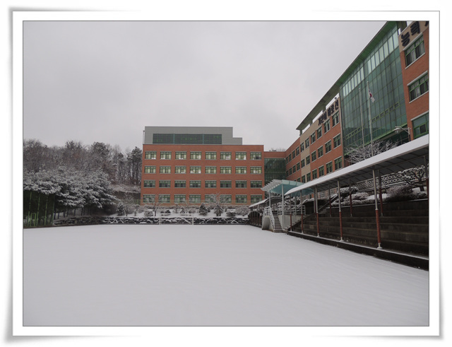 DSCN6390.jpg