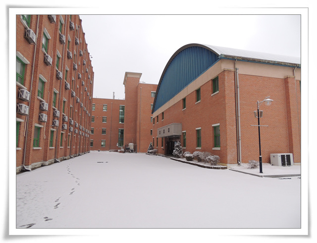 DSCN6393.jpg