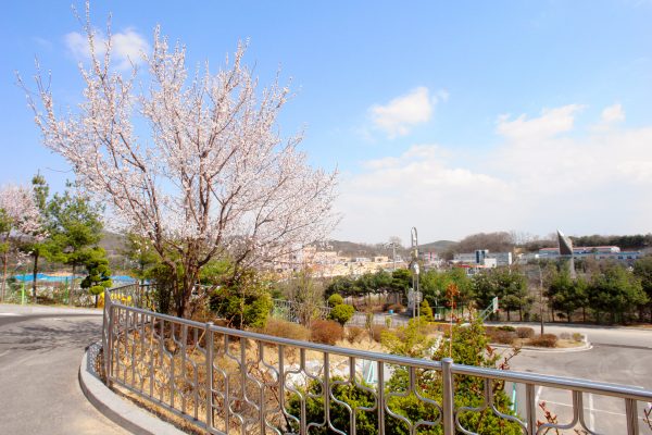 �̸� �� �����ܰ� ǳ�� II ÷���̹���